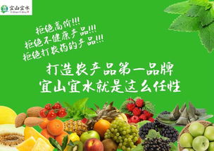 探秘宜宾“农产品第一品牌” 炒作还是实力之选？